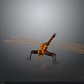 Orange Dragonfly With Detailed Mesh Wings And Transparent Structure On Dark Background