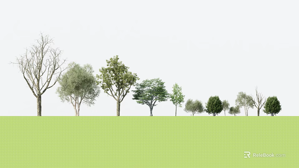 Various Arbor Tree Species in Green Grass Field with Different Foliage and Sizes 3d model