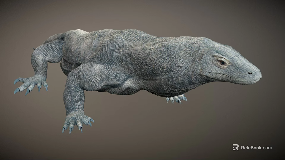 Realistic 3D Model of Komodo Dragon With Detailed Scales And Sharp Claws 3d model 