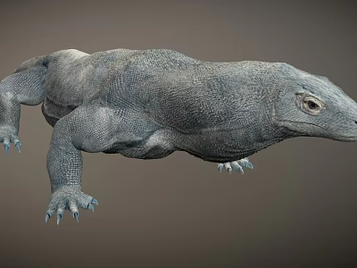 Realistic 3D Model of Komodo Dragon With Detailed Scales And Sharp Claws 3d model