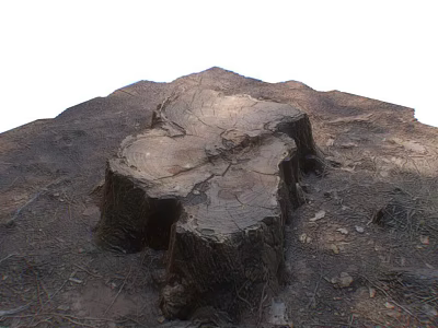 modern stump dead tree root 3d model