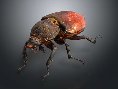 Shiny Red Shelled Beetle With Black Body And Long Legs On Dark Background 3d model