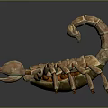 Detailed Brown Scorpion Reptile With Curved Tail And Red Eyes On Gray Background