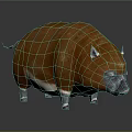Brown Wild Boar With White Underbelly Pointed Ears And Small Horns On Black Surface