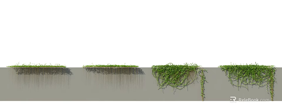 Lush Green Vines Growing On Gray Wall With Hanging Tendrils And Foliage 3d model 