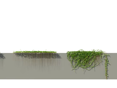 Lush Green Vines Growing On Gray Wall With Hanging Tendrils And Foliage 3d model