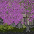 Purple Flowering Vines Covering Wooden Structure With Rocks Green Plants And Stone Lantern