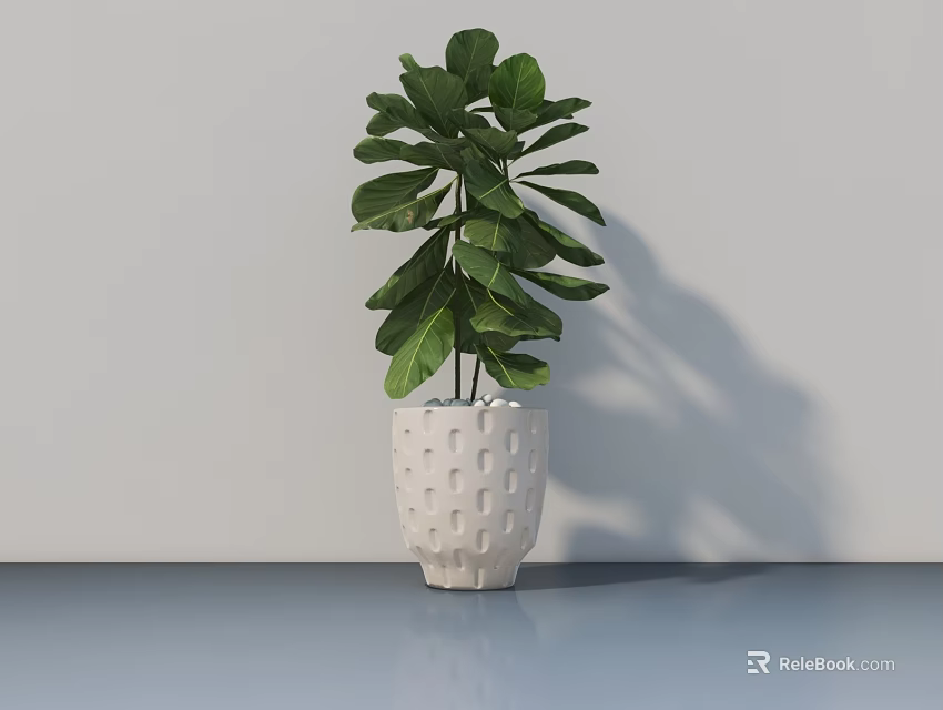 Green Leafy Indoor Potted Plant In White Perforated Pot On Table With Shadow 3d model 