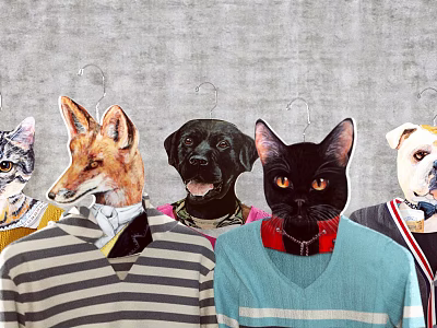 Creative Clothes Hangers With Animal Head Shapes And Colorful Outfits 3d model