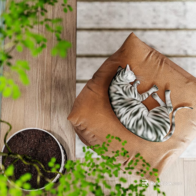 Reptile Lizard Resting On Brown Cushion With Green Plants And Wooden Tabletop 3d model 