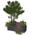 Green Bonsai Potted Plant With Purple Flowers And Hanging Leaves In Gray Rectangular Planter