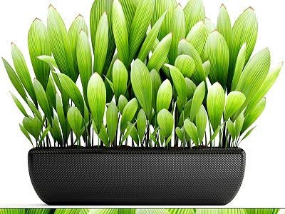Potted Bonsai Plant With Lush Green Leaves In Black Textured Container 3d model