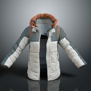 cotton-padded jacket down jacket goose down jacket thick clothes thick cotton-padded clothes autumn and winter clothing winter clothing autumn clothing 3d model