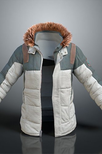 cotton-padded jacket down jacket goose down jacket thick clothes thick cotton-padded clothes autumn and winter clothing winter clothing autumn clothing 3d model