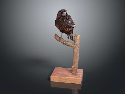 Realistic Black Bird Perched On Tree Branch With Wooden Base Stand 3d model