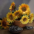 Vibrant Sunflower Bouquet In Wicker Basket With Seeds On Wooden Table Against Light Wall