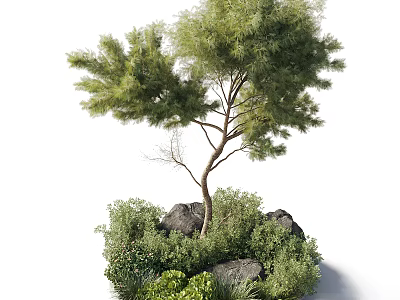 Natural Tree Pit Landscaping With Pine Tree Shrubs And Decorative Rocks 3d model