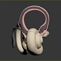 3D Rendered Inner Ear Anatomy Model With Colored Structures And Cochlea