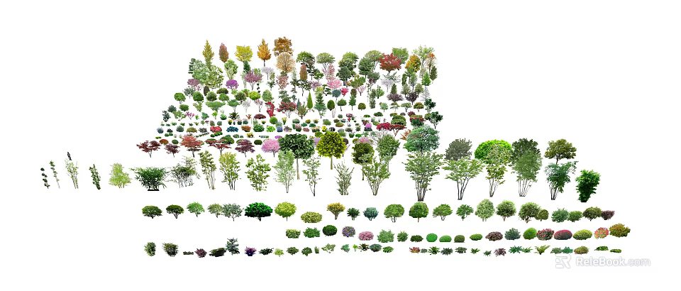 Various Arbor Tree Species with Diverse Foliage and Shapes for Landscape Design 3d model