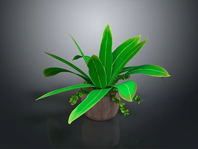 Lush Green Indoor Plant with Long Leaves in Wooden Pot and Small Decorative Foliage 3d model
