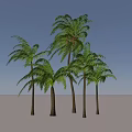 Tall Green Palm Trees With Lush Leaves And Sturdy Trunks In Natural Landscape