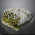 Weathered Rock Surface Covered With Green Moss And Lichen Details