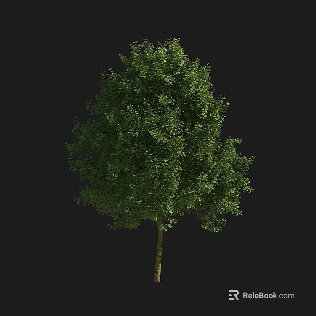 Vibrant Lush Green Arbor Featuring Dense Foliage With Healthy Trunk And Full Canopy 3d model 