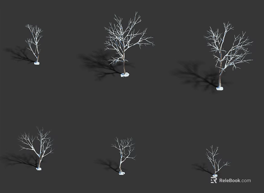 Collection Of Leafless Trees On Gray Background With White Base And Shadows 3d model