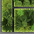 Living Plant Wall Featuring Modular Panels And Various Green Indoor Plants
