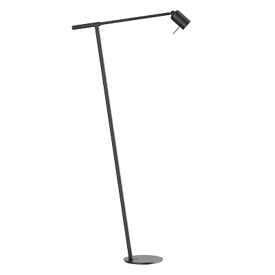 Modern Black Floor Lamp With Slim Tall Design For Home Interior Lighting 3d model