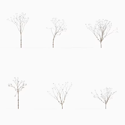 Six Slender Branches With Small Leaves And Buds Arranged Two Rows Three Columns White Background 3d model