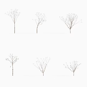 Modern grass, small flowers, ghosts, weeds 3d model