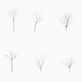 Modern grass, small flowers, ghosts, weeds 3d model