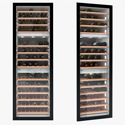 Modern Double Wine Coolers With Glass Doors And Layered Wine Bottle Shelves 3d model