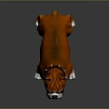Brown And White Boxer Dog With Collar In Standing Pose 3d model