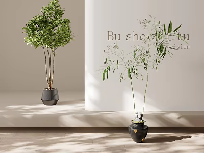 Bonsai Potted Plants with Small Tree and Bamboo in Black Pots on Light Colored Wall 3d model
