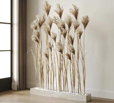 Tall Dried Pampas Grass in Indoor Corner with Light Colored Wall and Window Curtains 3d model
