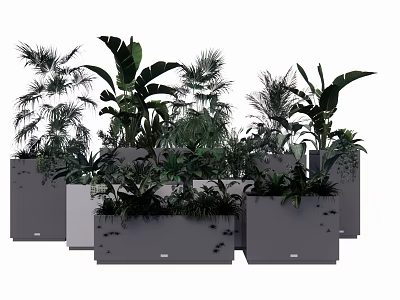 Modern Plant Combination With Various Green Plants In Gray Decorative Planters 3d model