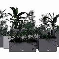 Modern Plant Combination With Various Green Plants In Gray Decorative Planters