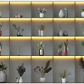 Elegant Illuminated Shelf Compartments With Various Vases And Decorative Plant Arrangements
