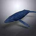 Blue Whale With White Spots On Lifelike 3D Rendered Gradient Background 3d model
