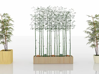 Tall Bamboo Stalks in Wooden Planter with Side Potted Bamboo Plants 3d model