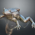 Metallic Frog Sculpture With Shiny Surface And Reflection On Dark Background 3d model