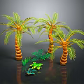 Tropical Palm Trees With Green Foliage And Small Plants On Dark Reflective Surface
