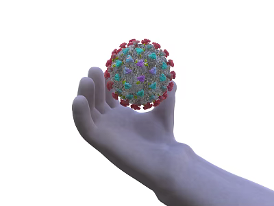 Medical Device For Virus Research Display Model Held In Human Hand 3d model