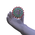 Medical Device For Virus Research Display Model Held In Human Hand 3d model