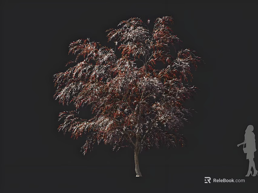 Tall Arbor With Reddish Brown Leaves Against Dark Background And Human Silhouette 3d model 