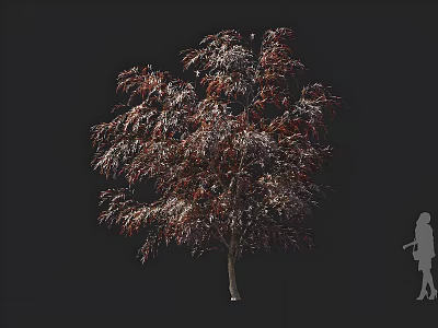 Tall Arbor With Reddish Brown Leaves Against Dark Background And Human Silhouette 3d model
