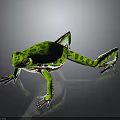 Vibrant Green Spotted Frog Standing on Shiny Reflective Surface with Extended Legs