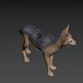 Realistic 3D Model of Standing Fox With Brown And Gray Fur On Gray Background